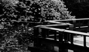 Preview wallpaper trees, pond, pier, bw