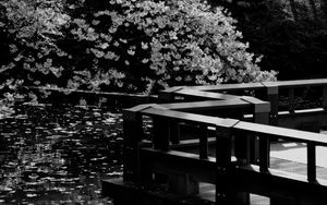 Preview wallpaper trees, pond, pier, bw