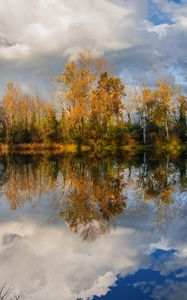 Preview wallpaper trees, pond, reflection, forest, landscape