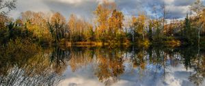 Preview wallpaper trees, pond, reflection, forest, landscape