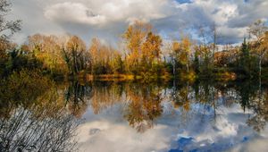 Preview wallpaper trees, pond, reflection, forest, landscape