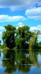 Preview wallpaper trees, pond, sky, summer