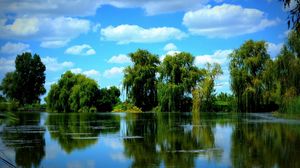 Preview wallpaper trees, pond, sky, summer