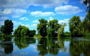 Preview wallpaper trees, pond, sky, summer