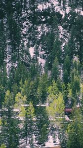 Preview wallpaper trees, railway, hill, snow, winter