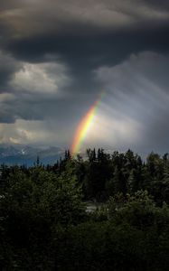 Preview wallpaper trees, rainbow, sky, dark