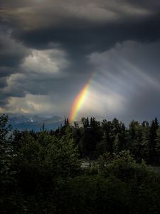 Preview wallpaper trees, rainbow, sky, dark