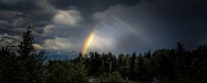 Preview wallpaper trees, rainbow, sky, dark