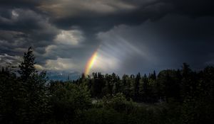 Preview wallpaper trees, rainbow, sky, dark