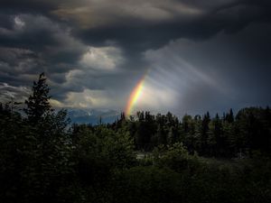 Preview wallpaper trees, rainbow, sky, dark