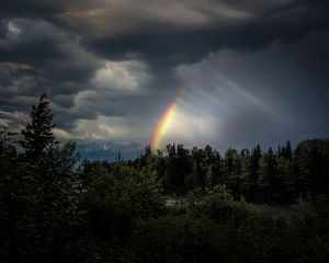Preview wallpaper trees, rainbow, sky, dark