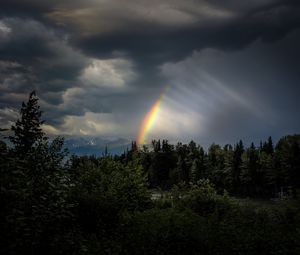 Preview wallpaper trees, rainbow, sky, dark