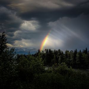 Preview wallpaper trees, rainbow, sky, dark