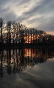 Preview wallpaper trees, reflection, lake, sunrise