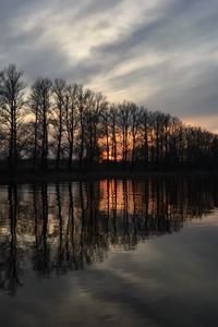 Preview wallpaper trees, reflection, lake, sunrise