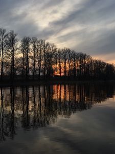 Preview wallpaper trees, reflection, lake, sunrise