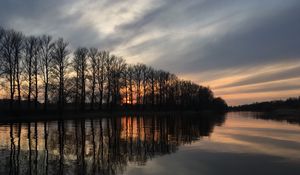 Preview wallpaper trees, reflection, lake, sunrise