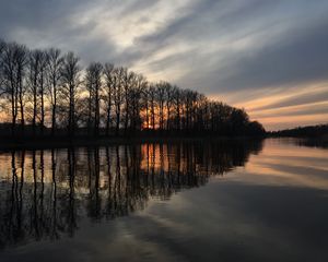 Preview wallpaper trees, reflection, lake, sunrise