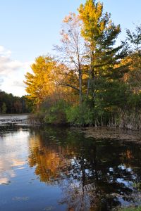 Preview wallpaper trees, reflection, lake, autumn, landscape