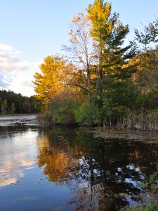 Preview wallpaper trees, reflection, lake, autumn, landscape