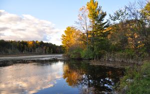Preview wallpaper trees, reflection, lake, autumn, landscape