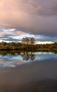 Preview wallpaper trees, reflection, lake, nature, landscape