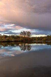 Preview wallpaper trees, reflection, lake, nature, landscape