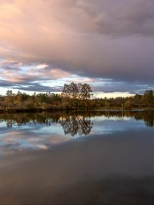 Preview wallpaper trees, reflection, lake, nature, landscape