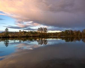 Preview wallpaper trees, reflection, lake, nature, landscape