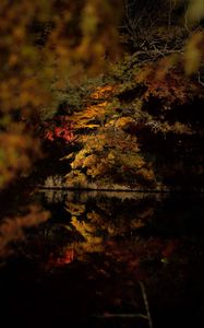 Preview wallpaper trees, reflection, lake, autumn, dark, nature