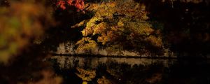 Preview wallpaper trees, reflection, lake, autumn, dark, nature