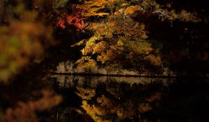 Preview wallpaper trees, reflection, lake, autumn, dark, nature