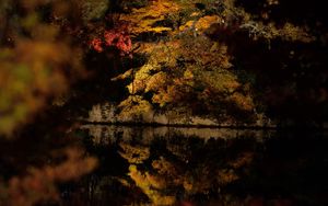 Preview wallpaper trees, reflection, lake, autumn, dark, nature