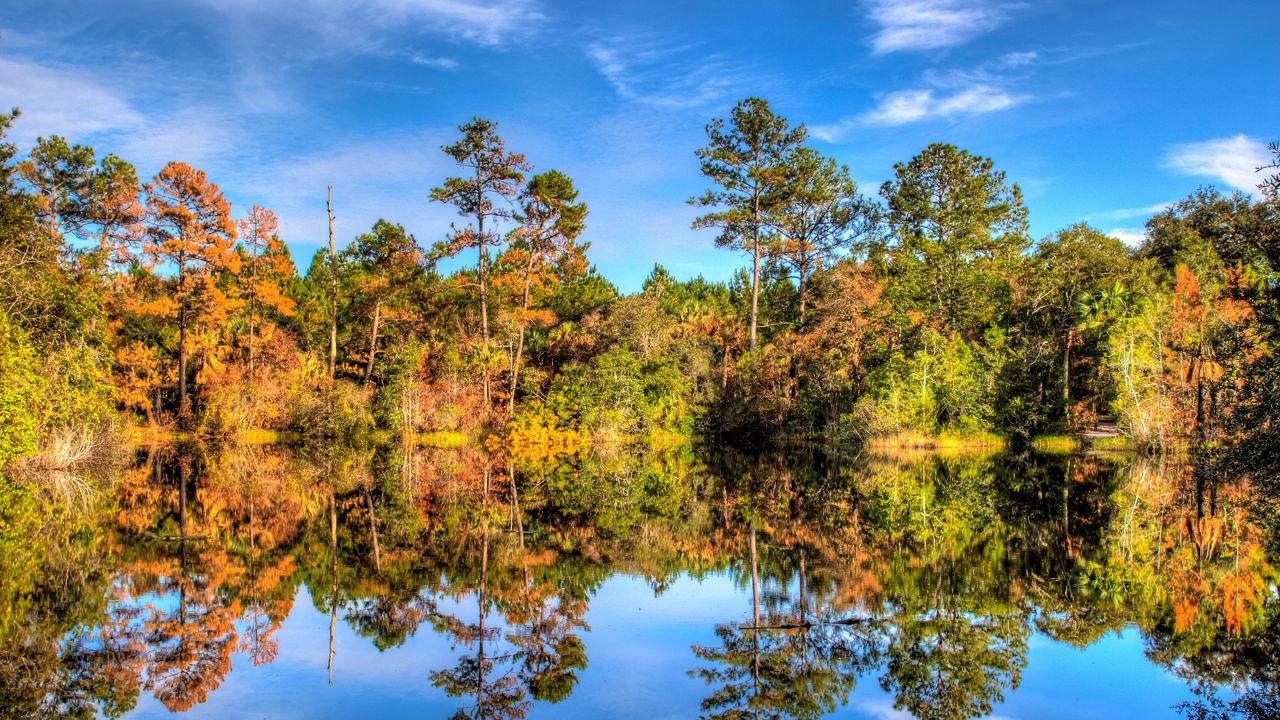 Wallpaper trees, reflection, lake, forest, sky