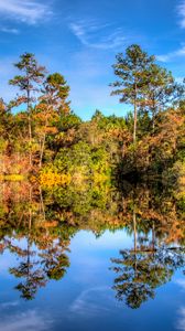 Preview wallpaper trees, reflection, lake, forest, sky