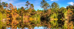 Preview wallpaper trees, reflection, lake, forest, sky