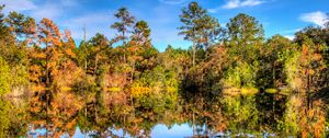 Preview wallpaper trees, reflection, lake, forest, sky