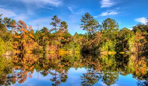 Preview wallpaper trees, reflection, lake, forest, sky