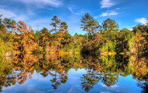 Preview wallpaper trees, reflection, lake, forest, sky