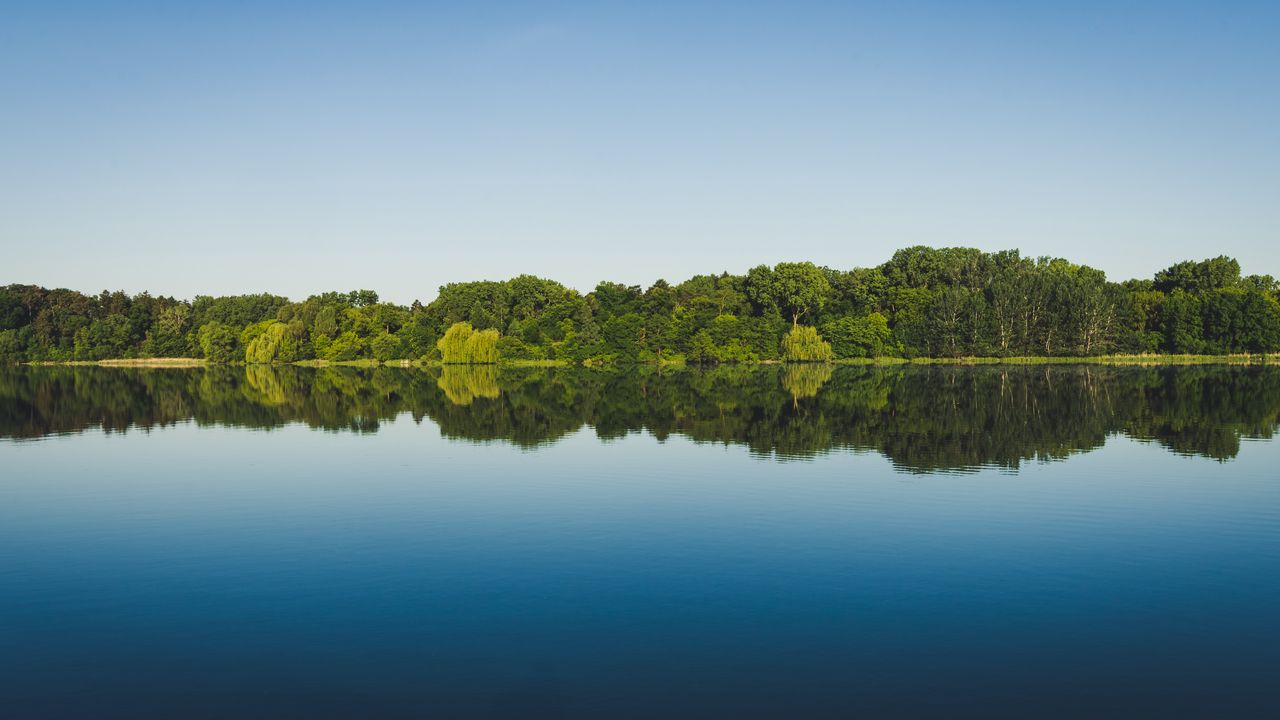 Wallpaper trees, reflection, lake, water, landscape