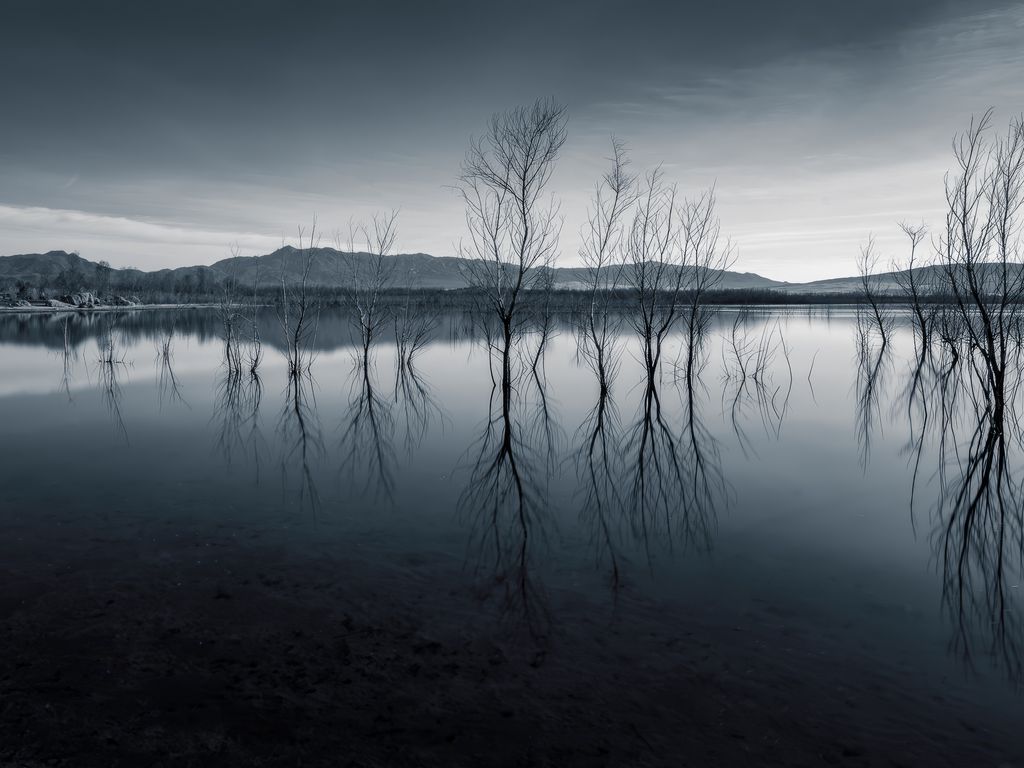 1024x768 Wallpaper trees, reflection, pond, dark