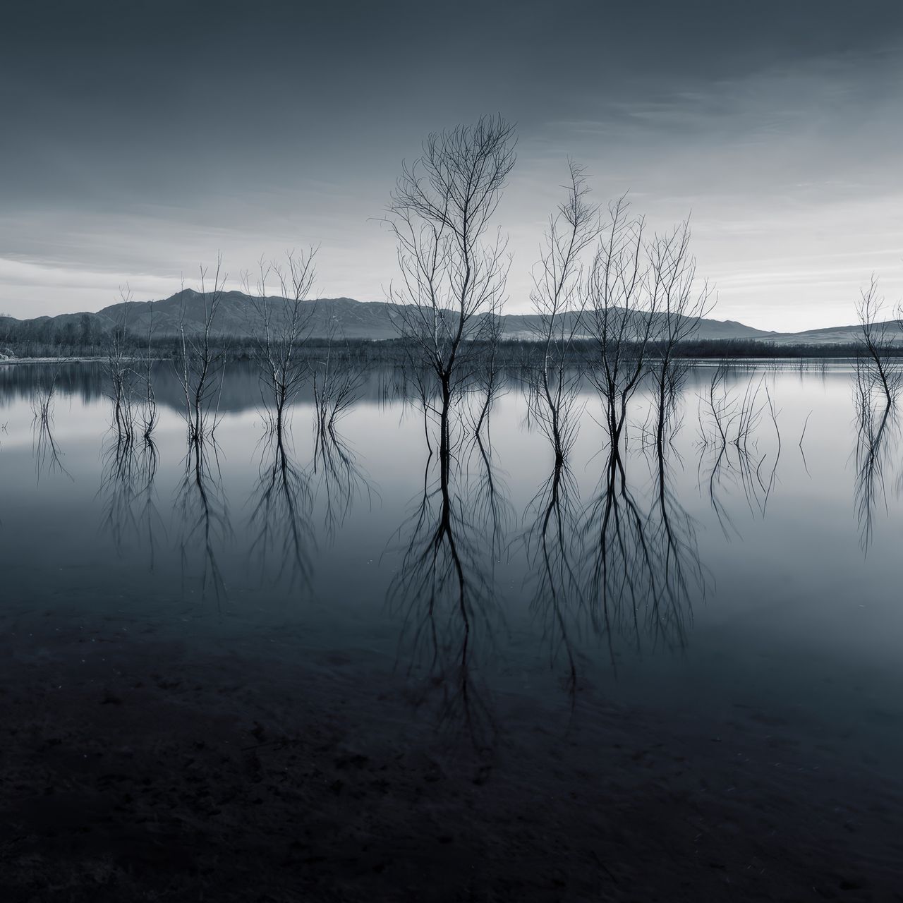 1280x1280 Wallpaper trees, reflection, pond, dark