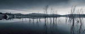 Preview wallpaper trees, reflection, pond, dark