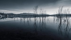 Preview wallpaper trees, reflection, pond, dark