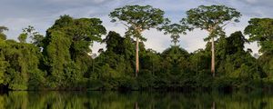 Preview wallpaper trees, reflection, river, nature