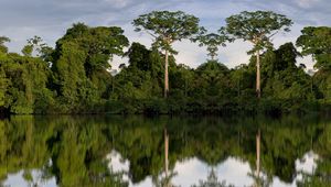 Preview wallpaper trees, reflection, river, nature