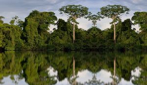 Preview wallpaper trees, reflection, river, nature