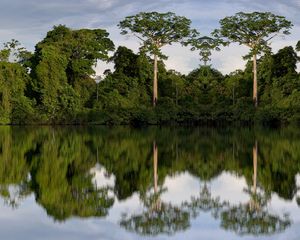Preview wallpaper trees, reflection, river, nature