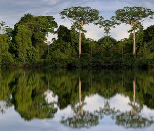 Preview wallpaper trees, reflection, river, nature