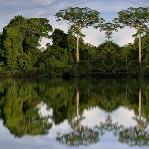 Preview wallpaper trees, reflection, river, nature